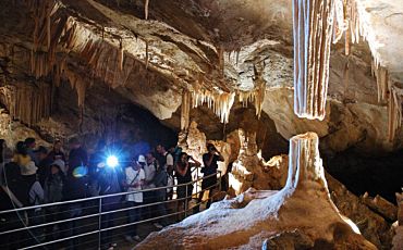 1 Day Jenolan Caves & Blue Mountains Tour from Sydney