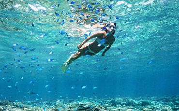4 Hour Snorkel or Dive at Wave Break Island Tour from the Gold Coast
