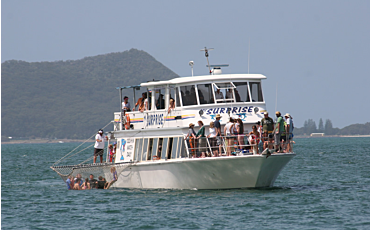 1 Day Tamboi Queen Broughton Island Tour from Nelson Bay