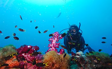 1 Day Adrenalin Dive Yongala Wreck Scuba Tour from Townsville
