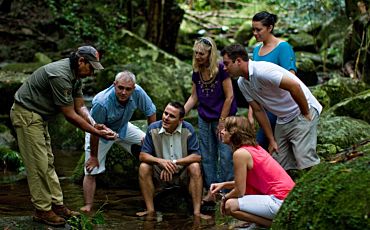 1 Day Cape Tribulation and Daintree Rainforest Tour from Cairns