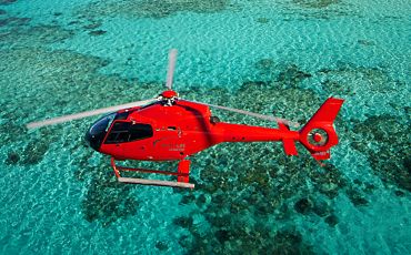 1 Day Evolution Down Under Reef and Helicopter Tour Package  from Cairns