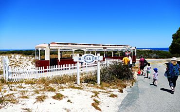 1 Day Rottnest Island Oliver Hill Train and Tunnel Package from Fremantle